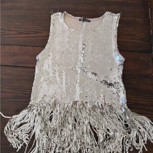 Zara Metallic Sequin Embellished Top